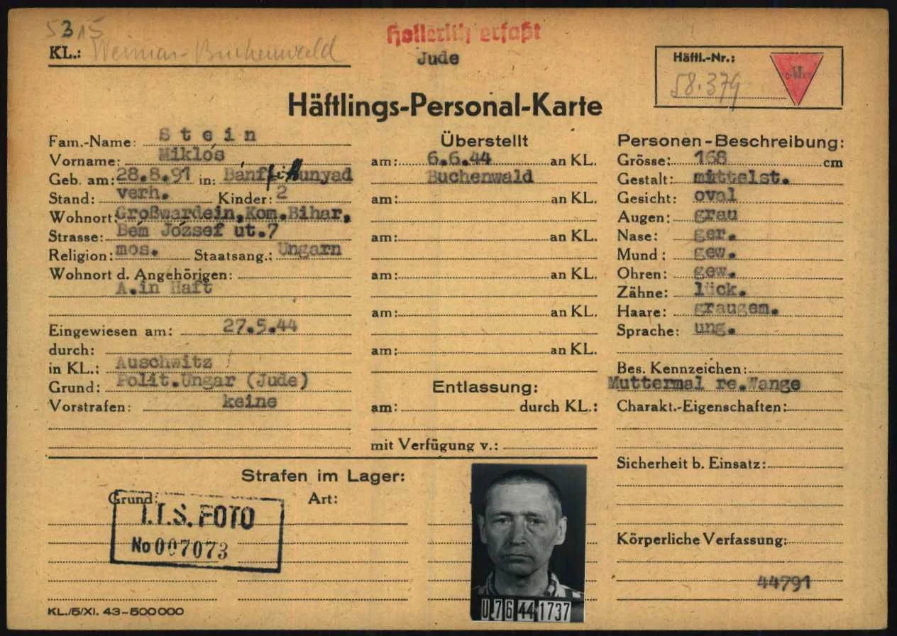 Miklós Stein
