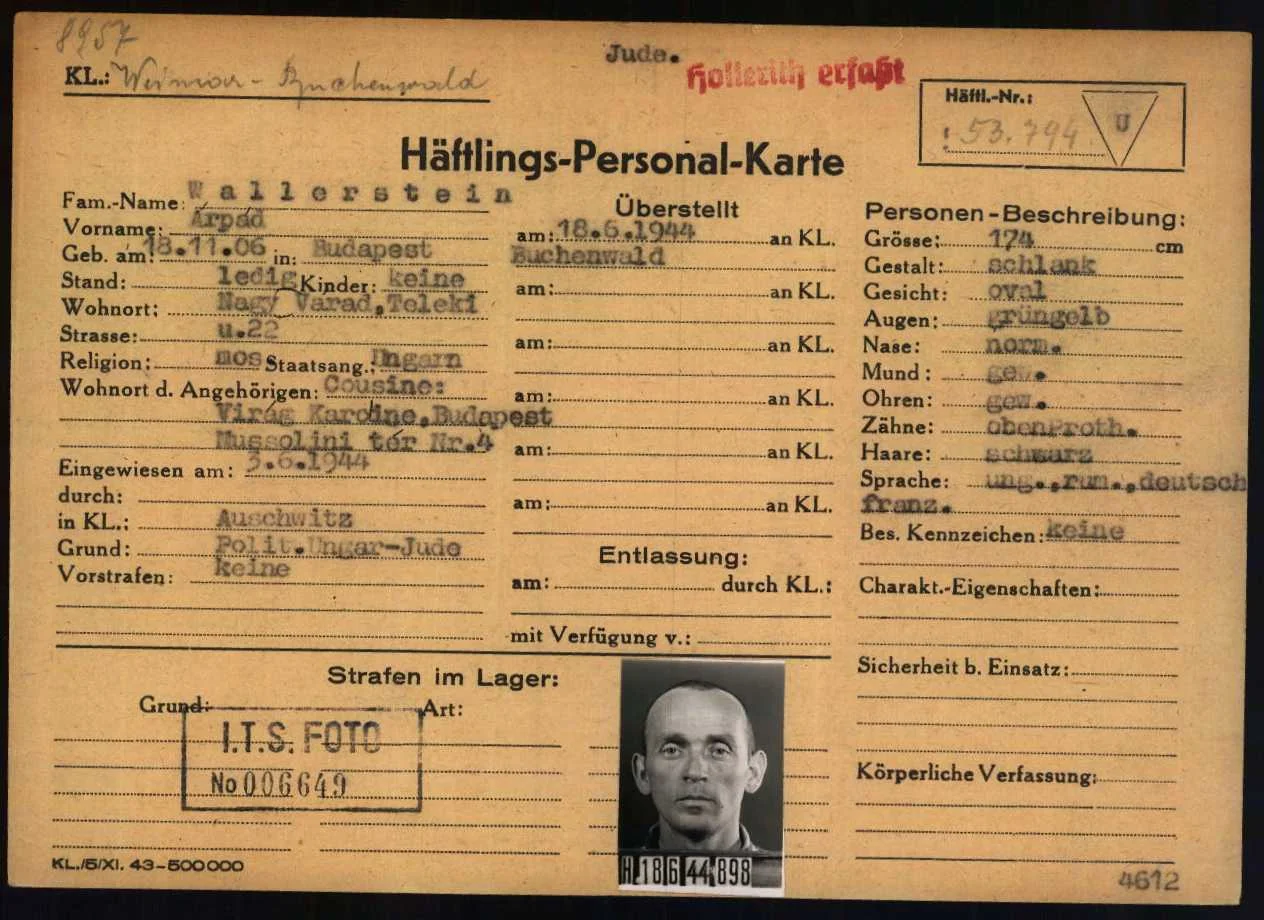 Árpád Wallerstein